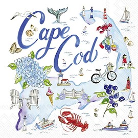 IHR Ideal Home Range Cocktail Napkins Rosanne Beck State Collection Disposable 3-Ply Paper Party Napkin Pack, 5" x 5", Cape Cod, 20-Count