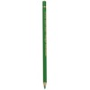 Caran D'Ache Pablo Colored Pencils Emerald Green (210/666)
