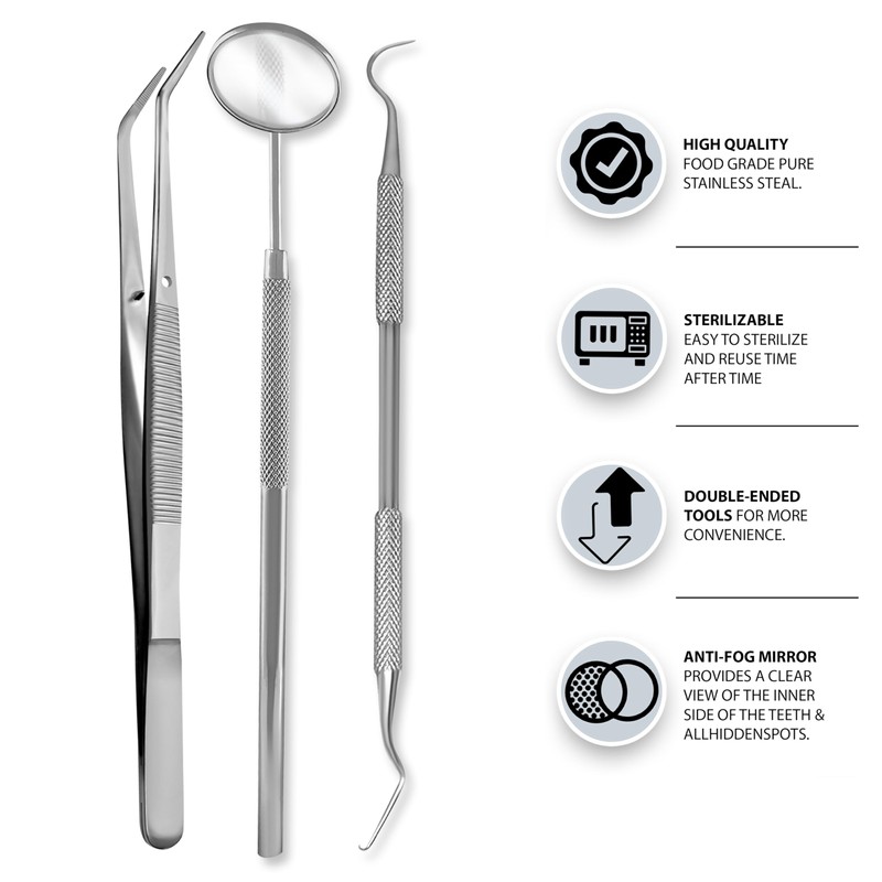 Student Professional Training Dental Hygiene Kit, Stainless Steel Tools Set,