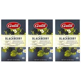 Galil Blackberry Tea Pack of 3 – Caffeine-Free Herbal Tea, Certified Kosher Tea – Non-GMO Blackberry Teabags 20 Count, 60 Tea Sachets Total (Pack of 3)