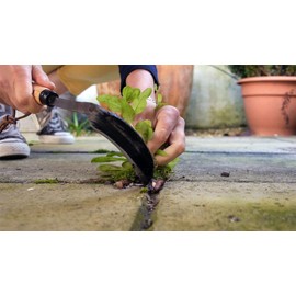 Burgon and Ball Razor Hoe. Right Handed