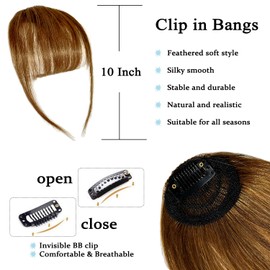 Flying Beauty Clip in Bangs 102% Real Human Hair Bangs Clip in Hair Extensions Clip on Wispy Bangs for Women Fringe Bangs Hair Pieces for Daily Wear(Brown)