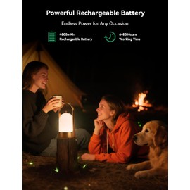 Tubicen Portable Lamp, Battery Operated Cordless Outdoor Table Lamps Rechargeable, 4-Level Touch Dimmable IP44 Shower Lamp, Night Light for Patio Camping Dining Room Bedroom (Brass, Waterproof)