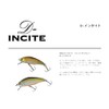 smith lt d-insight 53#21 WS indicator
