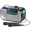 VTech New VTech Super Sound Karaoke Portable Bluetooth, 2 Mics