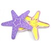 NewPath Starfish Dissection 3-D Paper Model Making Kit - Individual