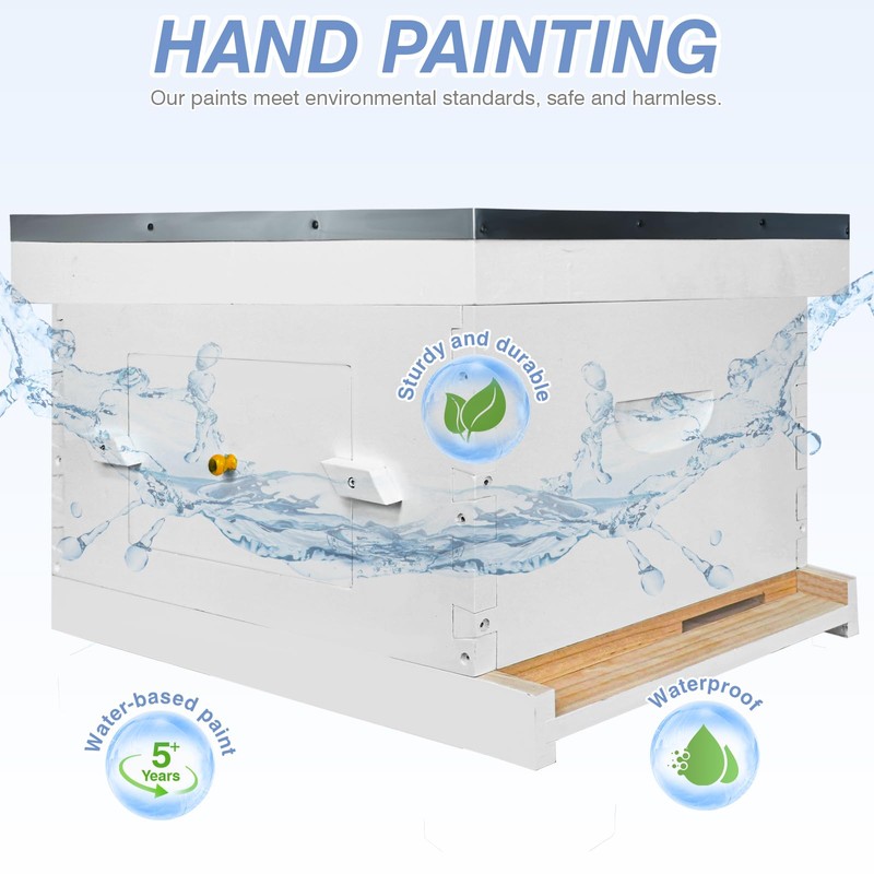 BeeTech Newest Windows 8 Frame Bee Hive Boxes Starter Kit