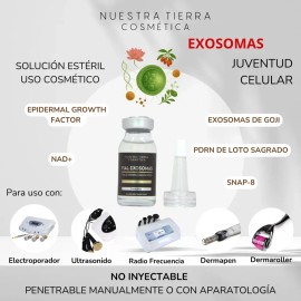 Vial Antiedad Exosomas Vegano Rejuvenece Regenera Reafirma Momento De Aplicación Día/noche Tipo De Piel Todo Tipo De Piel
