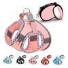 Pet Harness for Small Dogs, Dog Leashes, Telescopic, Self-winding Flexible,