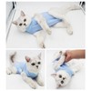 Recovery Suit Cat, Cat Bodysuit After Surgery, Cone E Collar