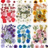 CONVELIFE Dried Flowers for Resin, 103pcs Natural Flowers and Leaves