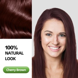 SHIHUANUO Hair Dye Shampoo 3 in 1 for Gray Hair Coverage, Herbal Ingredients Natural Shampoo Hair Dye for Women & Men/Ammonia-Free 520ml(Cherry Brown)