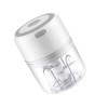Electric Garlic Chopper 250ml Cordless Operation Multifunctional Detachable Mini Food
