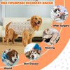 DoggieKit Dog Surgery Recovery Suit, Anti-Licking Postoperative Shirt for Female