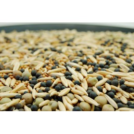 Cover Crop Seed Blend by Eretz (25lb) - Choose Size! Willamette Valley, Oregon Grown, Non-GMO, No Fillers, No Weed Seeds.