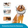 SNUGGO Dog Surgery Collar - Soft Dog Collar After Surgery