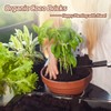 Riare 10pcs Organic Coco Coir Bricks Soil Blocks- 100% Natural