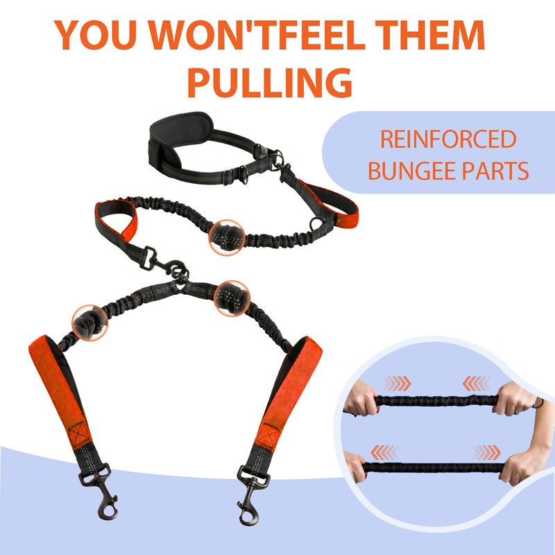 Double Dog Lead No Tangle, No Tangle Split Lead for