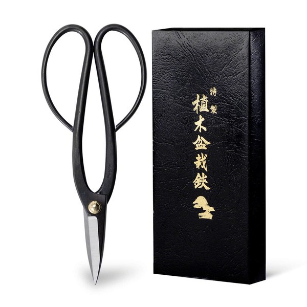 Wazakura Ashinaga Bonsai Scissors, Made in Japan 8inch(200mm), Japanese Bonsai Garden Tools, Hasami Pruning Shears - Ashinaga Long Handle Black
