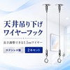 lifactlab. Wire Hook Ceiling Hanging Hook Fall Prevention Wire Picture