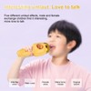 Wireless BT Microphone Portable Handheld Mic Variable Sound Function Built-in