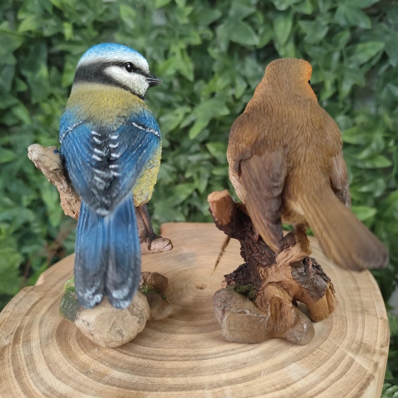 Vivid Arts - British Birds Robin & Blue Tit Home