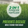 Scotts Turf Builder Healthy Plus Lawn Food, 2-in-1 Fungicide and