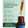 Herb Pharm Fast-Absorbing Echinacea Tincture for Immune Support