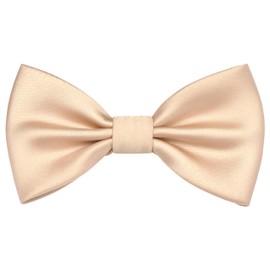 Branduce Champagne Bow Ties for Boys Pre Tied Toddler Bow Tie Adjustable Silk Blend Kids Bowties for Wedding Party (BB12-27)