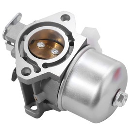 Hoypeyfiy Carburetor Kit Replacement for BS 699831 694941 28D700 28M700 28R700 28T700 Lawn Mower Tractor Carb with Air Filter Gaskets