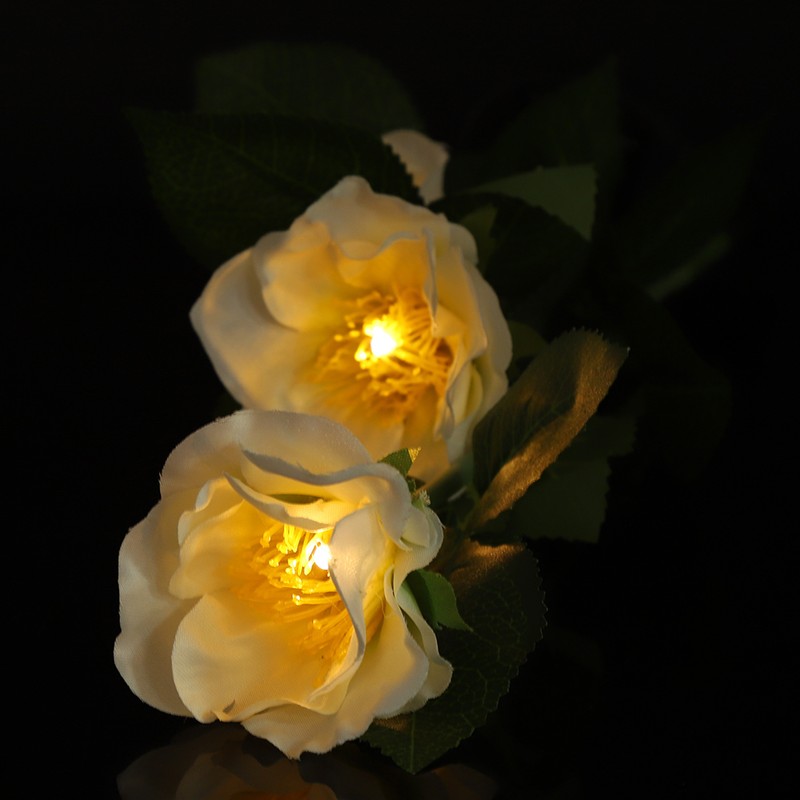 Solar Power LED Camellia Flower Light for Outdoor Yard Garden