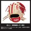 Rawlings Baseball Adult Training Hard Ball GAMER TRAINING [For Training]