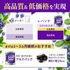 レバンテ ルテイン 160mg メグスリノキ 5mg サプリメント ゼアキサンチン アスタキサンチン ブルーベリー ビルベリー