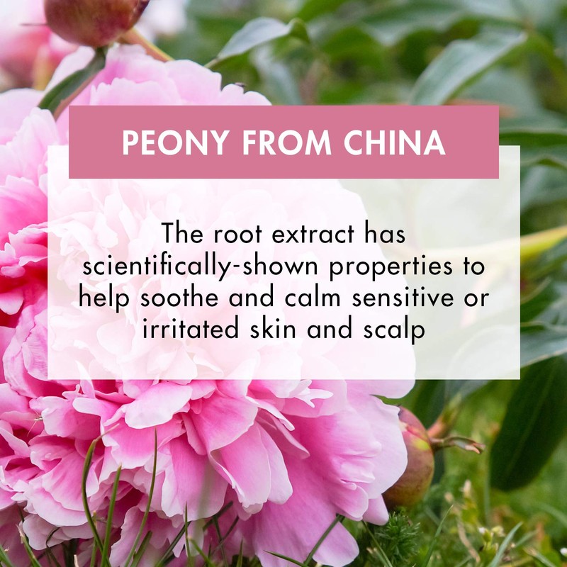 Klorane Peony Gel After Shampoo Calming And Anti-irritant 50ml