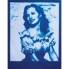 Jacquard Cyanotype Sensitizer Set