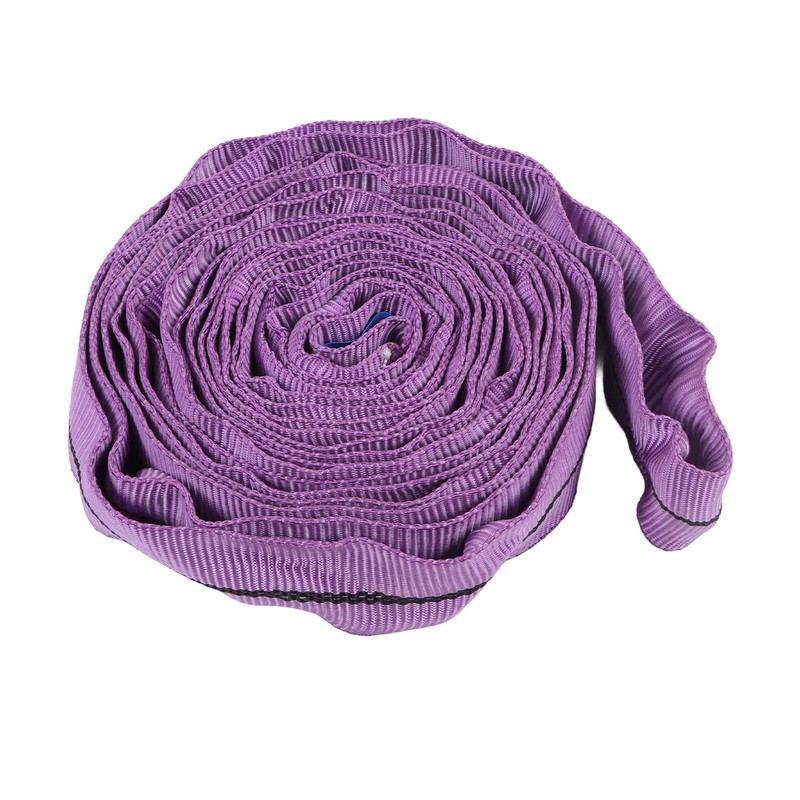 Lifting Sling Hoist Webbing 1T Polyester Rigging Strap Purple for