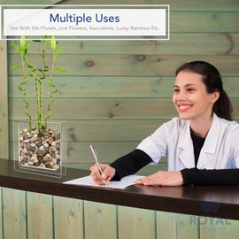 Royal Imports Flower Glass Vase - Flat Square Trim - 12"x12" Tall, Clear - Decorative Modern Floral Centerpiece Accent for Home Decor Living Room Bathroom, Kitchen, Shelf, Table, Entryway, Wedding