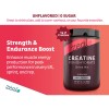 Zeal Creatine Monohydrate Micronizado Sin Sabor 5000 Mg