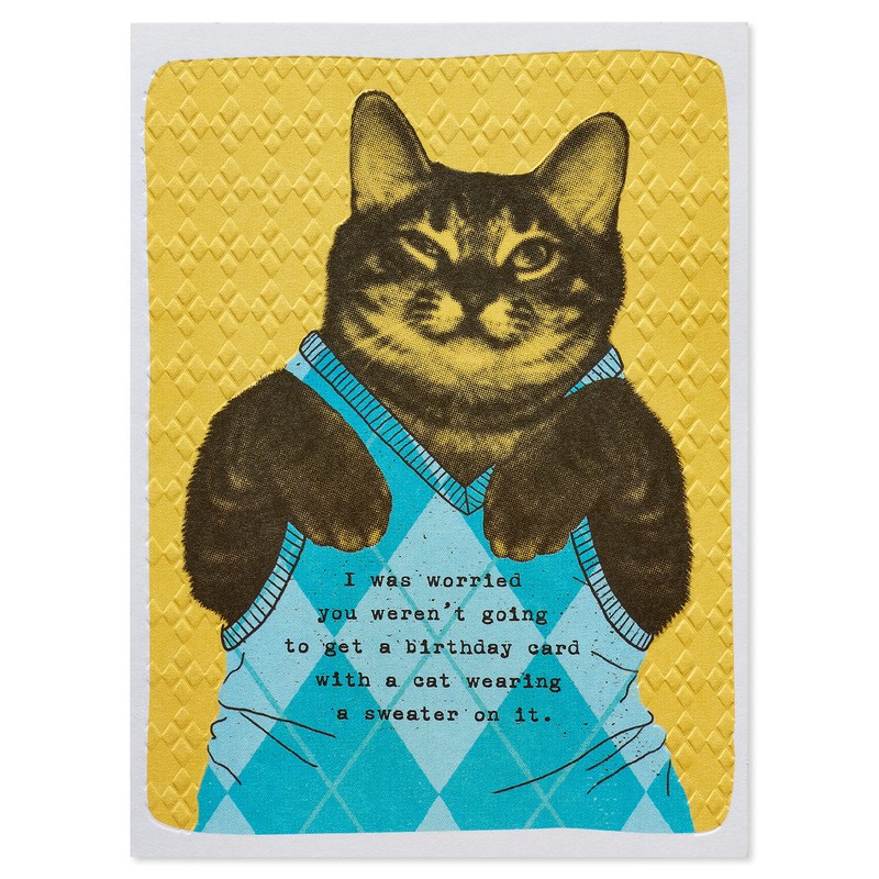 American Greetings Funny Birthday Card (Cat Wearing Argyle Sweater)
