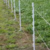 Zoiut 25 Pack Electric Fence Posts,48 Inch/4FT Step-in Plastic Posts