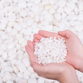 HOT SEAL 5.9 LB White Aquarium Gravel Pebbles 3/8", Natural Decorative Aquarium Substrate Small River Rocks, Mini Pebbles Stone for Fish Tank, Aquatic Plant Bonsai, Hydrophyte