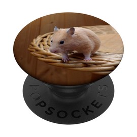 Mouse Animal Art Photography Pet Gift