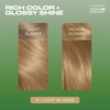 Clairol Clairol Natural Instincts Semi-Permanent No Ammonia Hair Dye, 9