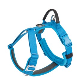 SMALL COMBINATION Dog Harness,Escape Proof Dog Harness,Adjustable Vest with Durable Handle,Outdoor Training Walking,(Blue, L)