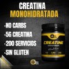Creatina Monohidratada Glutamina 1 Kg Cu More Than Pure