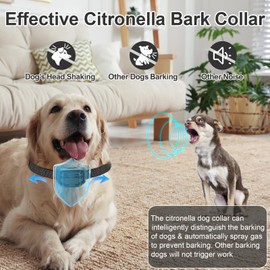 Citronella Bark Collar, Spray Bark Collar [1 Citronella Refill] Level 3 Sensitivity Adjustable Waterproof Chargeable Spray Bark Collar for Small, Medium & Large Citronella Dog Bark Collar