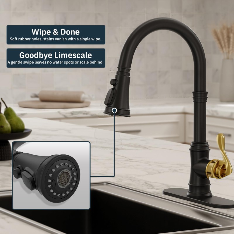 BWE Black Kitchen Faucet with Pull Down Sprayer and Gold
