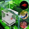 Pack of 2 Breeding Box, Floating Spawning Box, Aquarium Fish