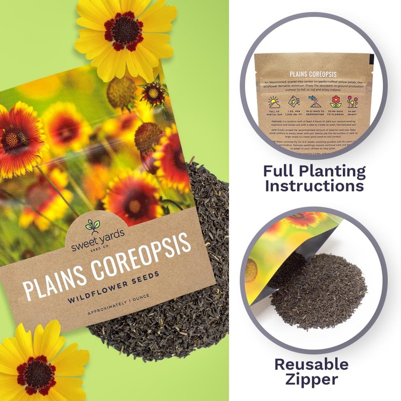 Plains Coreopsis Seeds – Native Flowers – Extra Large Packet