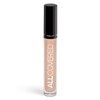 INGLOT All covered under eye conceptor 107